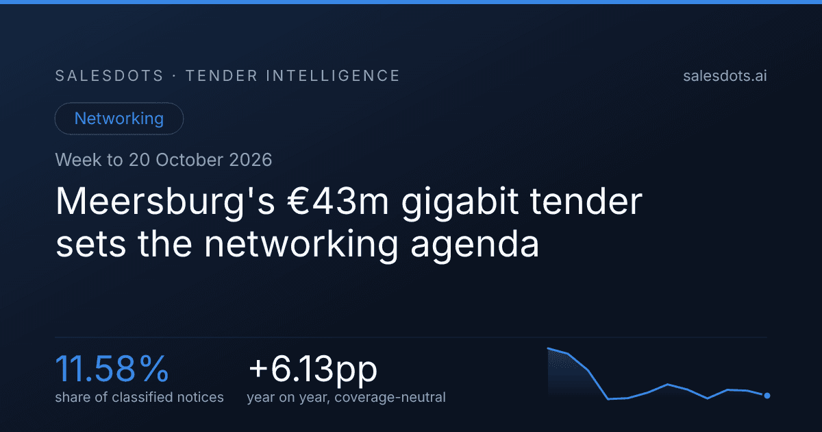 Meersburg's €43m gigabit tender sets the networking agenda