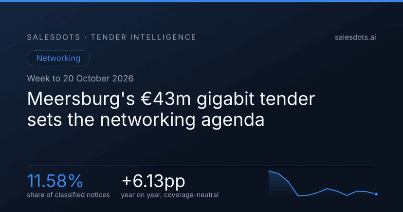 Meersburg's €43m gigabit tender sets the networking agenda